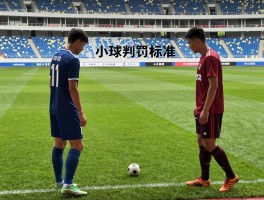 什么是小球和角球,小球判罚标准,角球直接进球算分吗,大小球投注策略分析