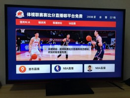 篮球联赛比分直播哪个平台免费,如何实时查看比分,哪些app能看NBA直播