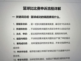 篮球比赛申诉流程详解,申诉成功的关键因素是什么,如何准备申诉材料提高成功率