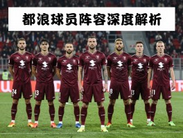 都灵球员阵容深度解析,都灵球员伤病情况如何,都灵球员最新转会动态