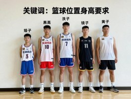 篮球位置身高要求，各位置身高标准是什么,如何根据身高选位置,矮个子怎么弥补