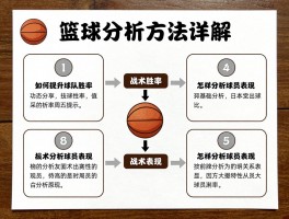 篮球分析方法详解,如何提升球队胜率,怎样分析球员表现,战术分析的基本步骤