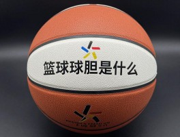 篮球球胆是什么,篮球球胆漏气怎么办,篮球球胆材质怎么选