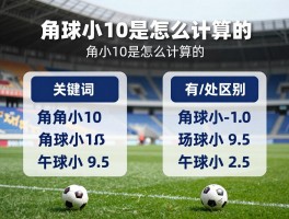 角球是小10是什么意思,角球小10是怎么计算的,角球小10和角球小9.5有什么区别