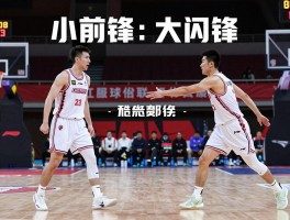篮球前锋的位置,小前锋和大前锋有何区别,各自职责是什么,如何选择适合位置