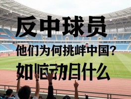 反中球员,他们为何挑衅中国？背后动机是什么,如何理性看待？