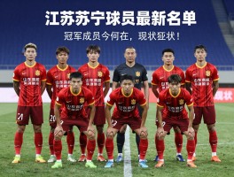 江苏苏宁球员最新名单，冠军成员今何在，他们如何延续职业生涯，现状如何？