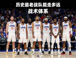 快船球队球员,年龄结构,薪资空间,战术体系如何优化，历史最老战队能走多远