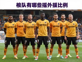 狼队球员国籍,狼队有哪些国家的球员,狼队英超外援比例多少