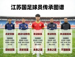 江苏国足球员传承图谱，历史贡献如何，青训体系有何特色，未来之星在哪里