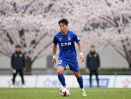 樱花中锋：是植物品种还是足球前锋，J联赛大阪樱花中锋是谁，染井吉野樱为何称中锋