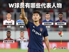 W球员,W球员有哪些代表人物,不同领域W球员如何取得成功