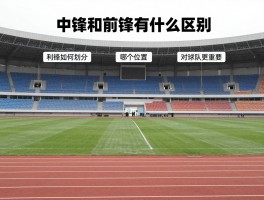 中锋和前锋有什么区别,场上职责如何划分,哪个位置对球队更重要,如何选择适合的位置