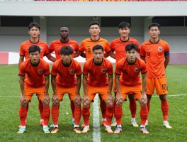 归化荷兰球员,亚洲足坛新趋势,印尼国家队成功秘诀,对国足有何启示
