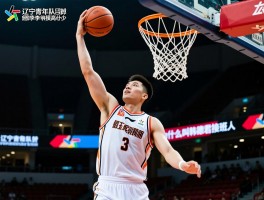 辽宁青年队中锋李玉宝,李玉宝什么病去世,李玉宝摸高多少,为什么叫韩德君接班人