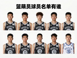 篮网交球员,最新名单有谁,核心球员是哪几位,新星球员有哪些