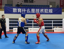 散打什么是技术犯规,技术犯规如何判定,侵人犯规有什么区别