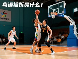 粤语挡拆是什么意思,广东话打篮球点样讲,点样用粤语讲波