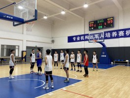 篮球所：专业机构选择与人才培养解析篮球所是什么,如何选择篮球学校,专业训练优势有哪些