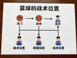 篮球的战术位置,如何理解五个位置分工,现代篮球位置模糊化趋势,战术位置与球员搭配