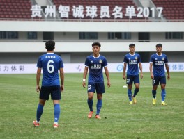 贵州智诚球员名单2017,球队有哪些核心球员,战术体系如何形成,赛季表现怎么样