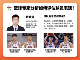 篮球专家分析,如何评估球员表现？,球队战术如何优化？,比赛结果如何预测？