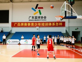 广东篮球协会,实体化改革成效如何,品牌赛事有哪些,青少年培训体系怎样