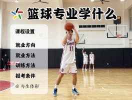 篮球专业学什么,课程设置,就业方向,训练方法,报考条件