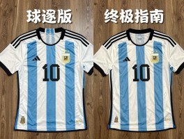 阿根廷球迷版和球员版终极指南，区别究竟在哪,日常穿选哪个,收藏价值如何评估？