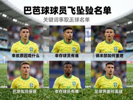 巴西球员飞机坠毁名单,事故原因是什么,幸存球员有谁,俱乐部如何重建,足球界怎样回应
