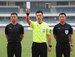 马宁边裁出牌,裁判如何平衡规则与人性,VAR技术能否杜绝误判？