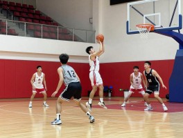 篮球技术的基本特征是,如何快速提升篮球技术水平,篮球技术的训练方法有哪些