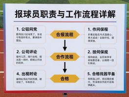 报球员职责与工作流程详解，如何成为合格报球员,报球员常见问题解答