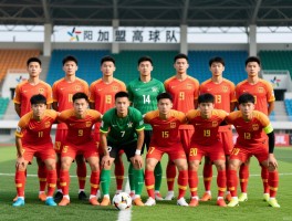 高阳足球球员有哪些代表,高阳Hi球队阵容如何,中国球员如何加盟高阳球队