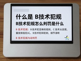 什么是B技术犯规,B技术犯规和C技术犯规区别是什么,B技术犯规怎么判罚