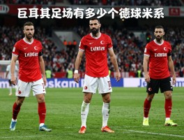 德米尔球员丨土耳其足坛有多少个德米尔,他们是什么关系,各自发展如何