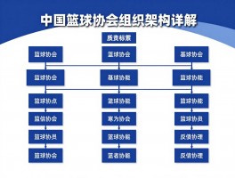 篮球协会是什么，中国篮球协会组织架构详解,篮球协会怎么加入,篮球协会职责与功能