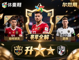 典藏球员全解：有什么用，如何获得，升星材料怎么刷，典藏球员和普通球员区别在哪