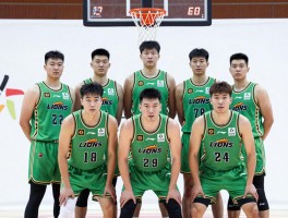 辽宁队篮球队员丨阵容如何组成，核心球员有哪些，年轻球员谁值得期待