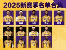 湖人球员名单图片高清合集，2025新赛季阵容如何，球员号码有哪些变化