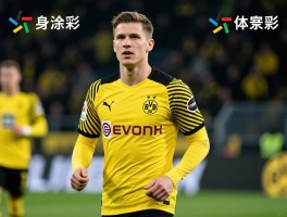 多特球员身价深度解析,如何评估球星价值,最新排名谁领跑？