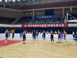篮球比赛类型,职业赛事有哪些,校园比赛怎么参加,国际大赛如何区分