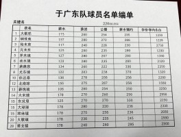 广东队球员名单的薪水丨薪水详情如何,薪资结构是否合理,谁性价比最高