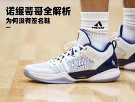 诺维斯基篮球鞋全解析,为何没有签名鞋,金鸡独立穿什么战靴,2011年夺冠鞋款揭秘