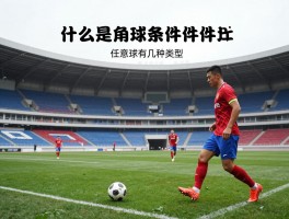 什么是角球任意球点球,角球判罚条件是什么,任意球有几种类型,点球如何主罚