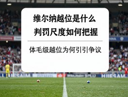 维尔纳越位是什么意思啊，判罚尺度如何把握,体毛级越位为何引争议
