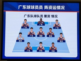 广东队球员名单阵容2025,广东队球员薪资情况,广东队球员年龄结构如何