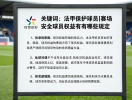 法甲保护球员丨赛场安全如何保障,球员权益有哪些规定,俱乐部采取了哪些措施