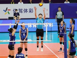 排球边裁取消,技术革新如何改变比赛公平性,裁判角色变化