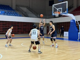 篮球达人,如何成为篮球达人,篮球达人需要哪些技能,篮球达人训练方法是什么